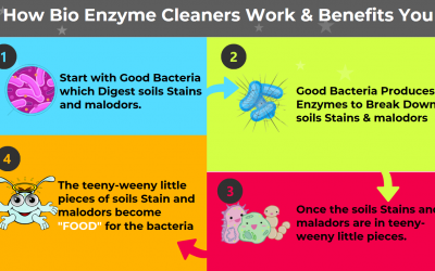 How Bio Enzyme Cleaners Work & Benefits You