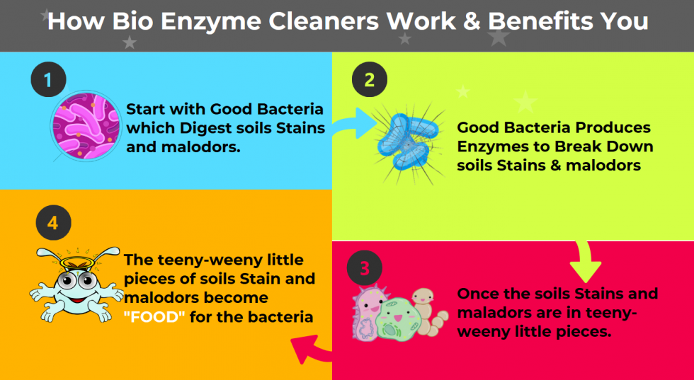 How Bio Enzyme Cleaners Work & Benefits You to BD Janitorial
