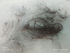 hair removed from carpet